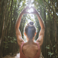 5 Pillars of Health 5 Pillars of Health